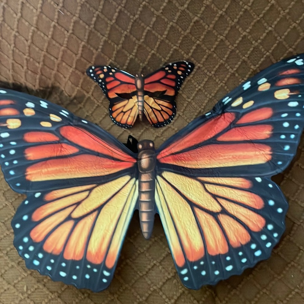 Butterfly eye mask and wings